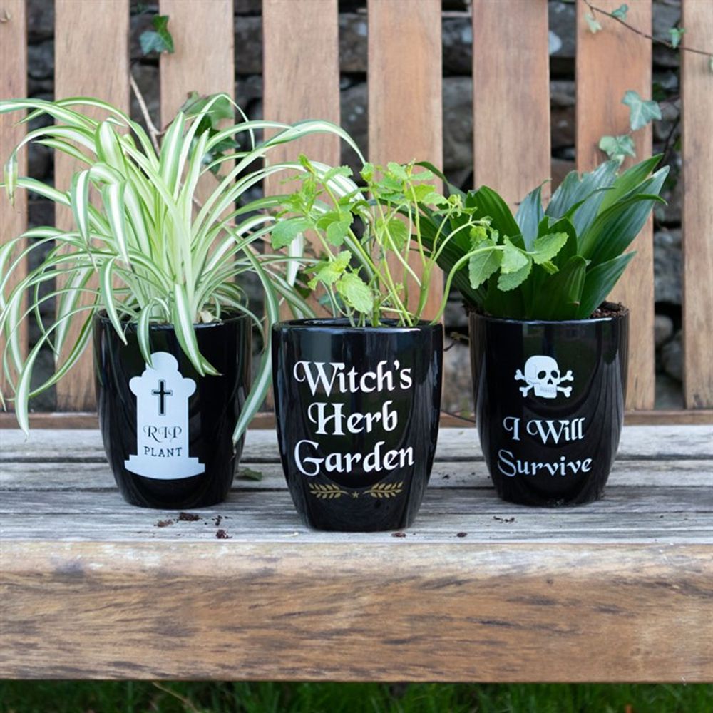 Witch's Herb Garden Plant Pot